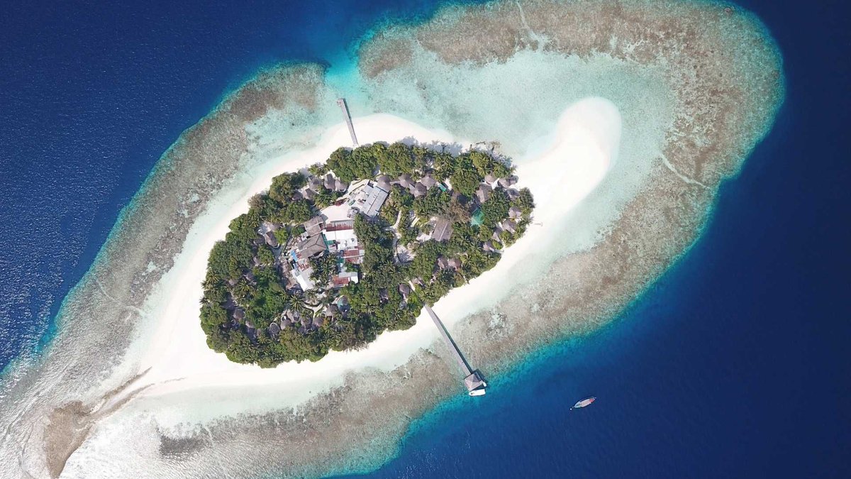 honeymoon_dream's tweet photo. Stay at the all new, all inclusive #Maldives resort, #SandiesBathala 🏝
7 nights in a Beach bungalow FROM £1,799pp
Includes flights based on Emirates from London. Selected dates in May & Jun
Add 3 nights at #JAOceanView from an extra £224pp
Contact us https://t.co/BEYtYocwZW https://t.co/MZefPgDSWw