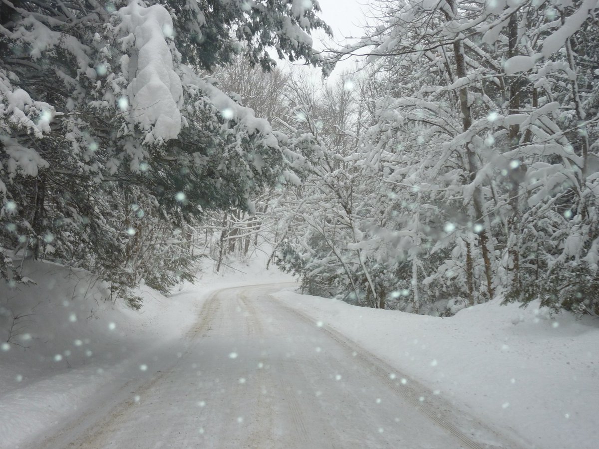 UWaterloo's tweet photo. Due to expected severe weather conditions, #UWaterloo campus locations are closed today, Tuesday, February 12. This includes all classes, events, labs, and administrative operations. Please monitor our weather statement page for further details. https://t.co/63wgjn6akQ  #ONStorm https://t.co/fgWGHC3a95