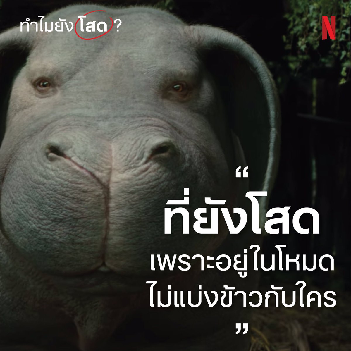 netflixth's tweet image. เป็นโสดวันวาเลนไทน์แล้วไง?
มีเหตุผลที่ขี้เกียจอธิบายแล้วกัน
.
.
ใครทีมคนโสด แล้วอยู่ในโหมดเบื่อคำถามจากชาวเน็ต
พักการเถียง แล้วเหวี่ยงรูปพวกนี้ไปเลยครับ
(เราแอบทำชุดคำตอบมาให้) :p 
.
.
ด้วยรัก, 
ประธานกลุ่ม “วาเลนไทน์นี้ #ไม่ไปไหนไปNetflix”