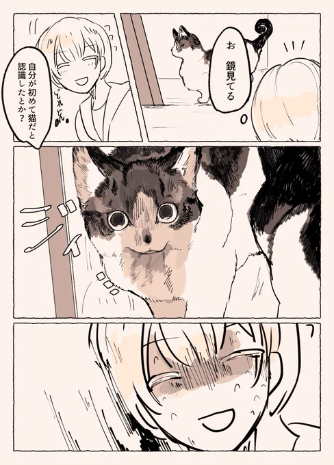 猫を飼ってしこたま驚かされた漫画です 