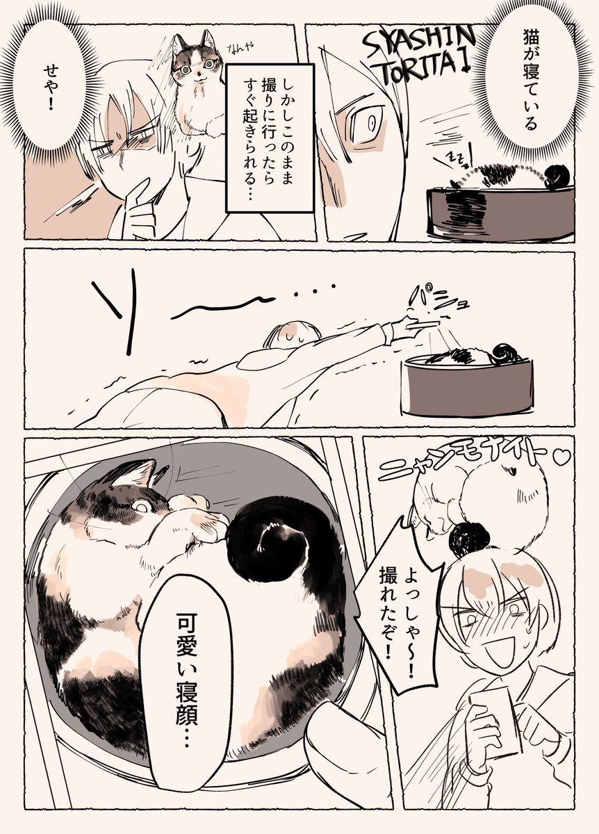 猫を飼ってしこたま驚かされた漫画です 