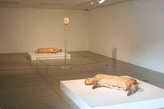 TheStrangeshit's tweet image. These half-man, half-pig hyrbids by Han Hyo-seok are truely freaky and very distrubing. #strange #weird #creepy