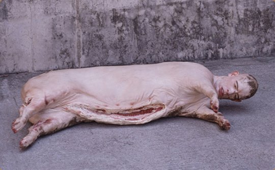 TheStrangeshit's tweet image. These half-man, half-pig hyrbids by Han Hyo-seok are truely freaky and very distrubing. #strange #weird #creepy