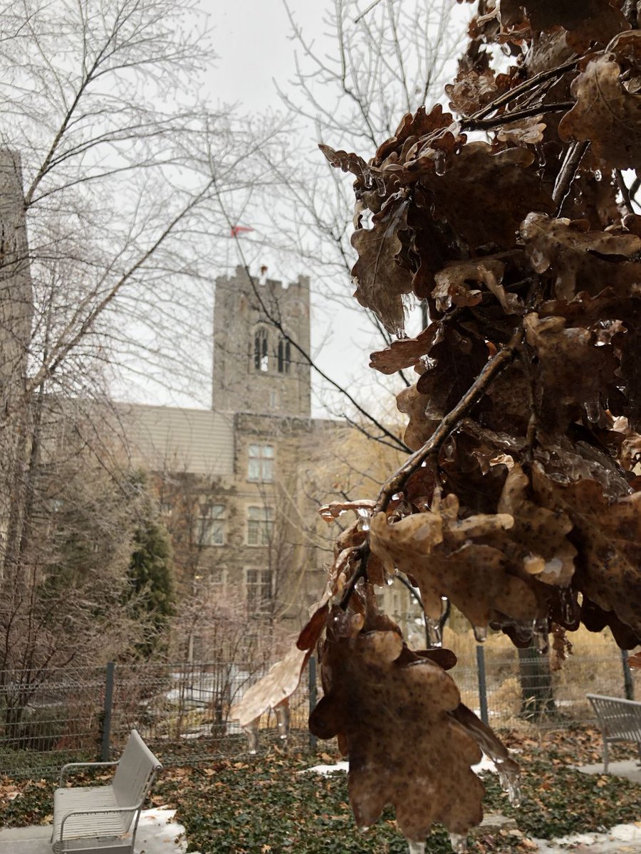 Weather Update: #WesternU is closed today, including all classes, campus services, exams and assignments. For campus weather updates, visit: uwo.ca/weather.html #ldnont