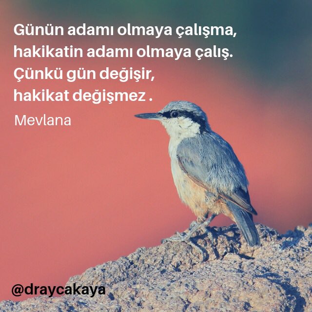 draycakaya's tweet photo. #günaydın #hayırlısabahlar #salı #hakikat #doğruluk #değişmeyen #teksey #gerçeklik #doğruluk #yalan #kin #arifarslan #mevlana #draycakaya
🌟🌟🌟🙏🏻🙏🏻🙏🏻👍🏻👍🏻👍🏻👍🏻😊😊😊😊 https://t.co/EyGTlf4H4Z