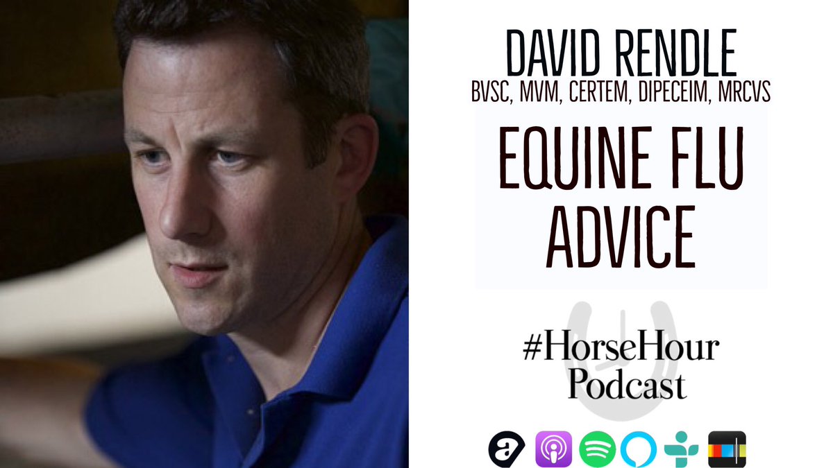 #HorseHour Podcast tweet media