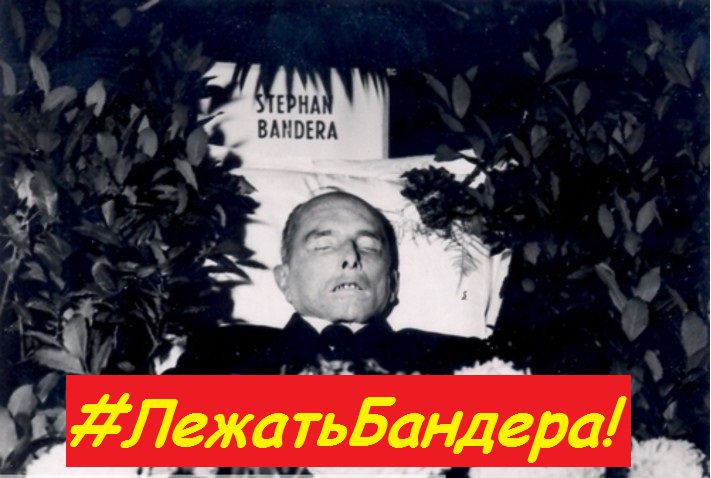 https://pbs.twimg.com/media/DzMExP7XQAIngvn.jpg