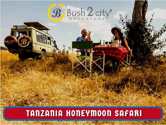 bush2city's tweet photo. Seeking a perfect #honeymoon? Try East Africa. 

It holds all the Stunning beauty in one place like the mountains, vast wild land and coastline, so come and treat your partner by a honeymoon package @ https://t.co/64XBUs4KhX https://t.co/7p0AMi1CNu