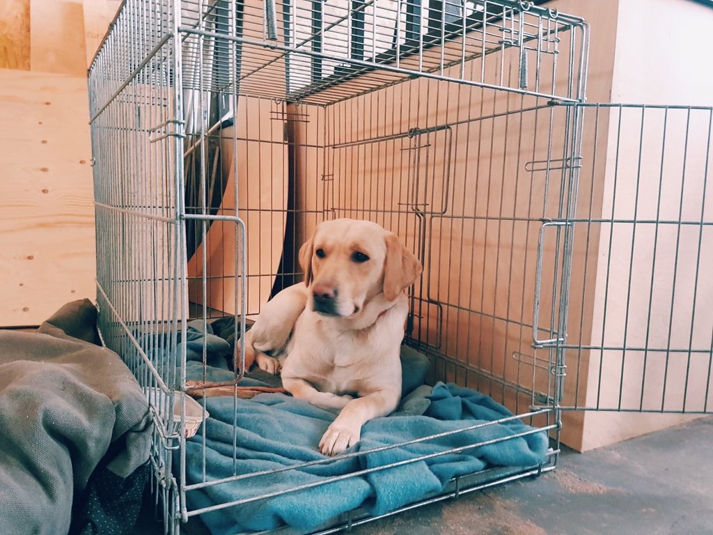 Brouwerij_Frontaal tweet media