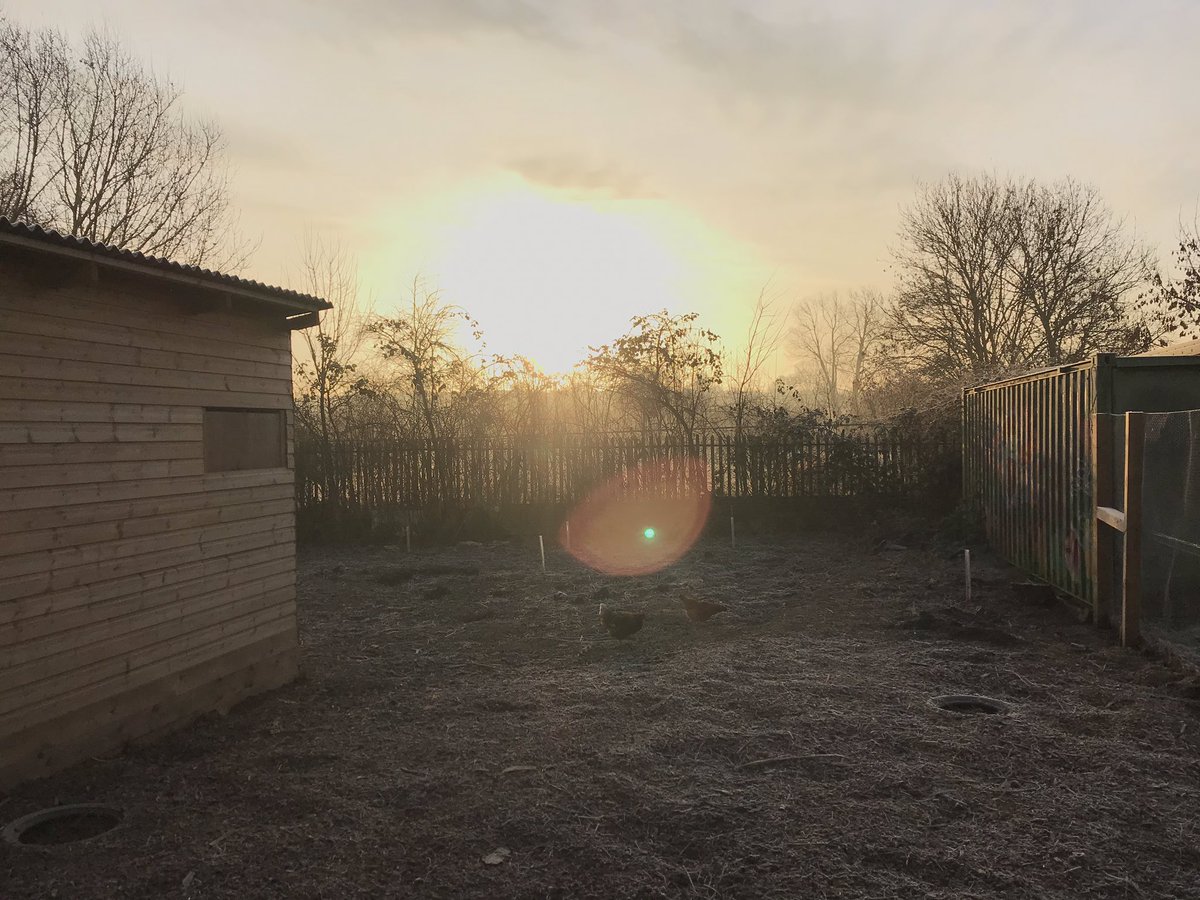 Tom Percival tweet media