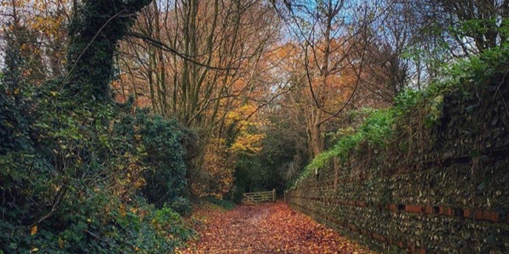 Why not get out into the fresh air today and go on a campus boundary walk? 🚶 It's a couple of miles and takes you through some amazing countryside. Find out the routes here: ow.ly/7fVs50kvSWU