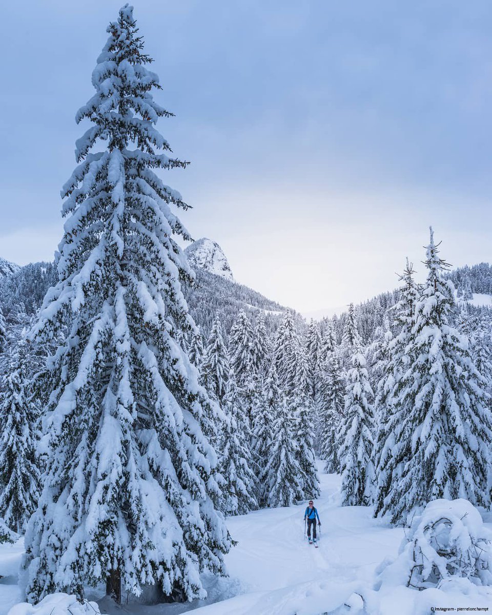 SavoieMontBlanc's tweet photo. Rien de tel qu'une randonnée sur les plateaux pour bien commencer la semaine...🎿 #savoiemontblanc 
📸 https://t.co/LlTrlSNY8F https://t.co/gXBMxbfvMm