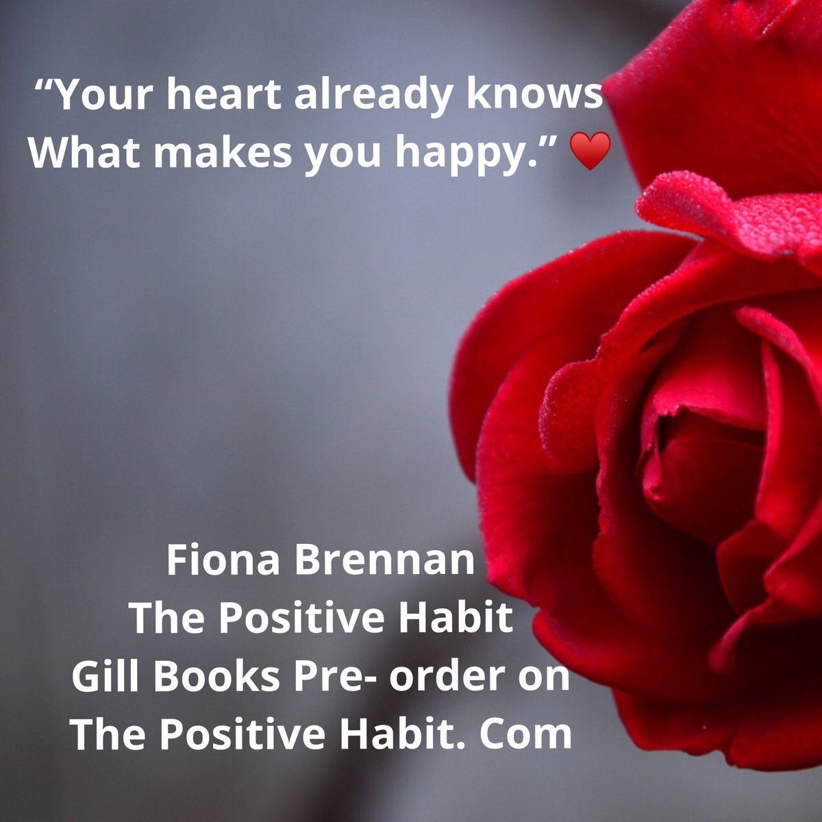 FionaBrennan19's tweet image. Get ready to embrace happiness #ThePositiveHabit #HeartIntelligence Pre-Order now on @easons @DubrayBooks coming March 1st ♥️