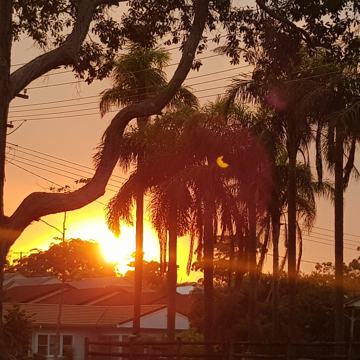 theatregoth's tweet photo. @dailybailey10 look at this beautiful sunset in Coffs Harbour, NSW https://t.co/Dw2n7PM2Ao