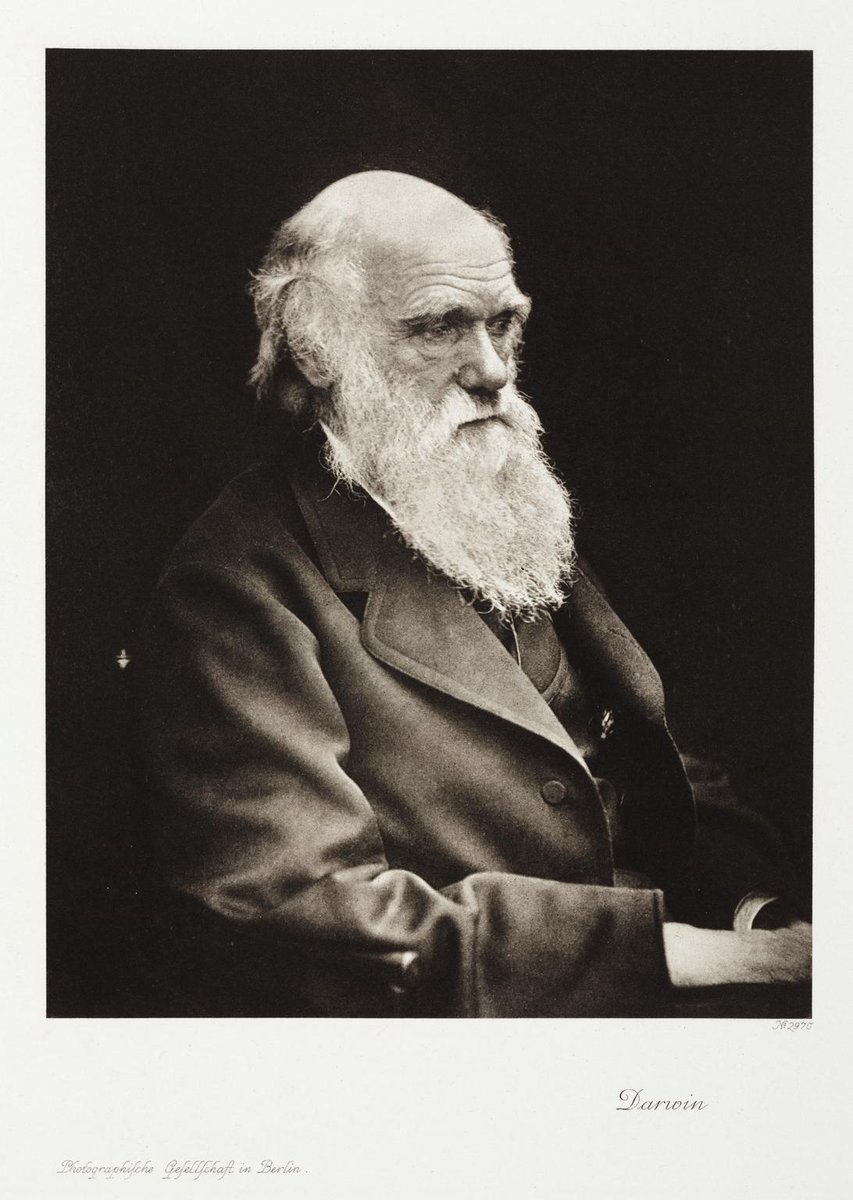 sciencemuseum's tweet photo. #HappyBirthday to Charles Darwin, born #OTD in 1809. Naturalist, geologist and biologist, best known for his contributions to the science of evolution. His theory of evolution by Natural Selection is the foundation of modern evolutionary studies.
📸 from our collection https://t.co/HyqWjgxmw6