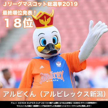 Jリーグマスコット総選挙19 終了 新潟のアルビくんの順位は 地方で暮らしちゃえば 新潟のポテンシャル