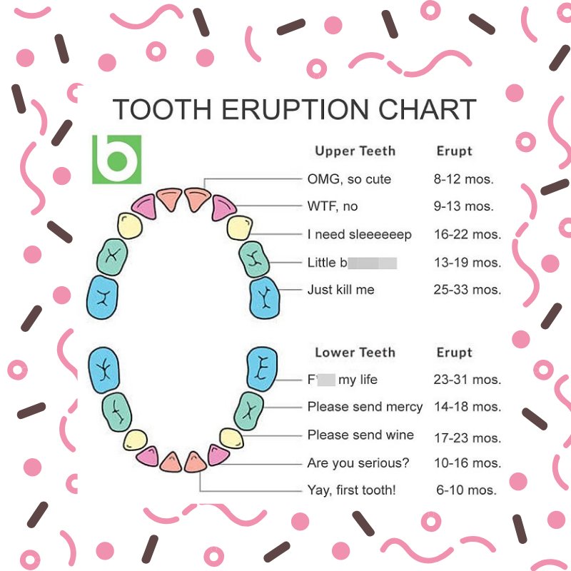 Baby Teeth Time Chart