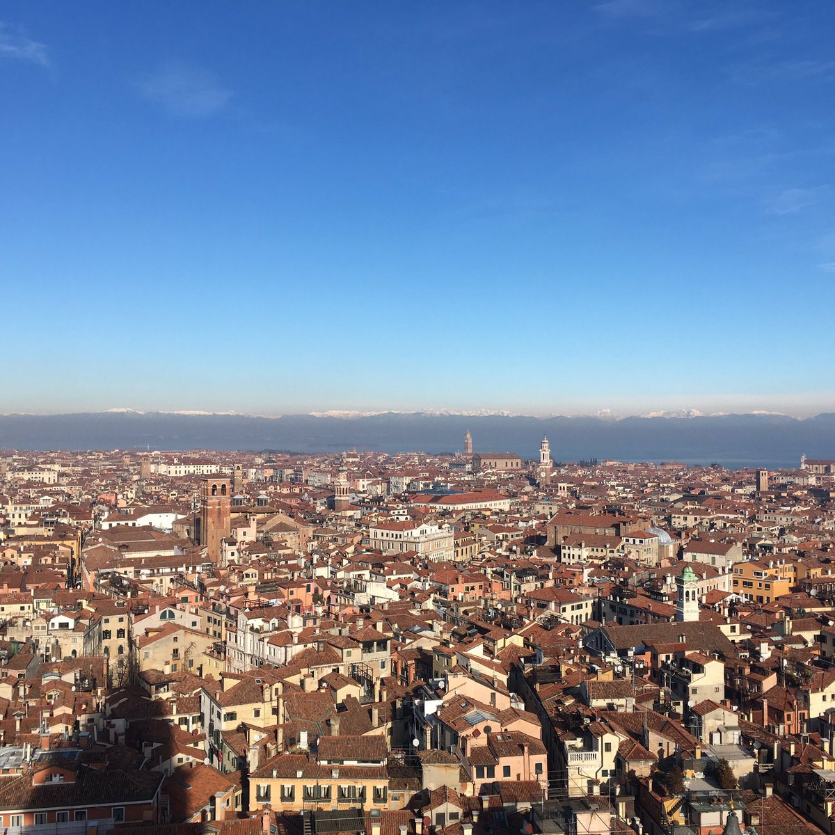cristivanegas's tweet photo. Amazing view #Venice #MSSAC #Bartlett https://t.co/dXLpVmP13N