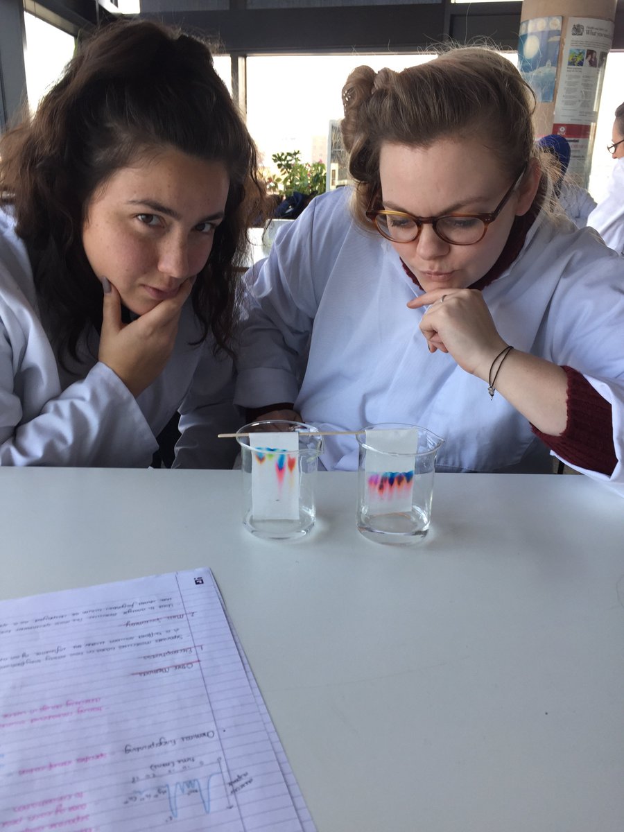 USWEduSTEM's tweet photo. USW students display the artisitic side of science with chromatograms! https://t.co/47wKbgJvu9