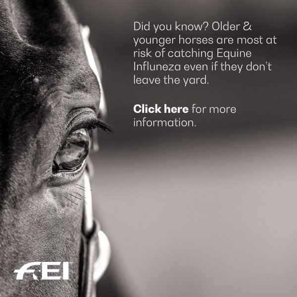 The number of horses diagnosed with equine influenza has grown over the last 3 months. 

Make sure your clued up on how you can spot the signs in your horses ⏩ bit.ly/2I2UcoJ