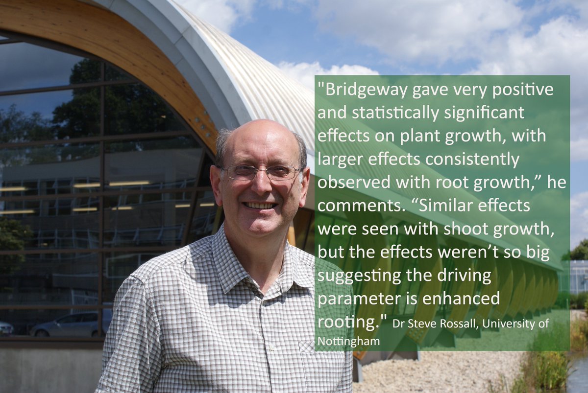 cpm_magazine's tweet image. Science backs up #biostimulantboost - read the latest @InteragroUK #Pushingperformance article from @Lucy_delaP speaks to Dr.Steve Rossall @UniofNottingham on the stat. signif. effects of #Bridgeway on root+shoot growth &amp;amp; explores the role of amino acids.
