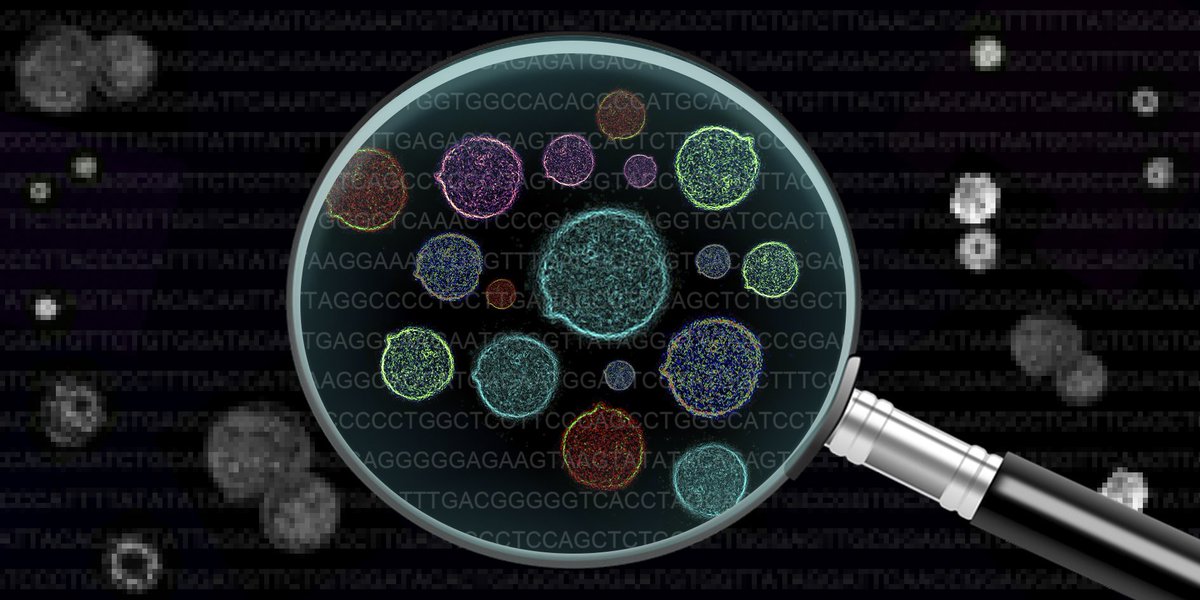 TARGET-seq is out in @MolecularCell ! Like moving from a blury photograph to a high resolution picture of #cancer we can now perform parallel mutation and whole transcriptome analysis from the same #SingleCell cell with extremely high resolution. cell.com/molecular-cell…