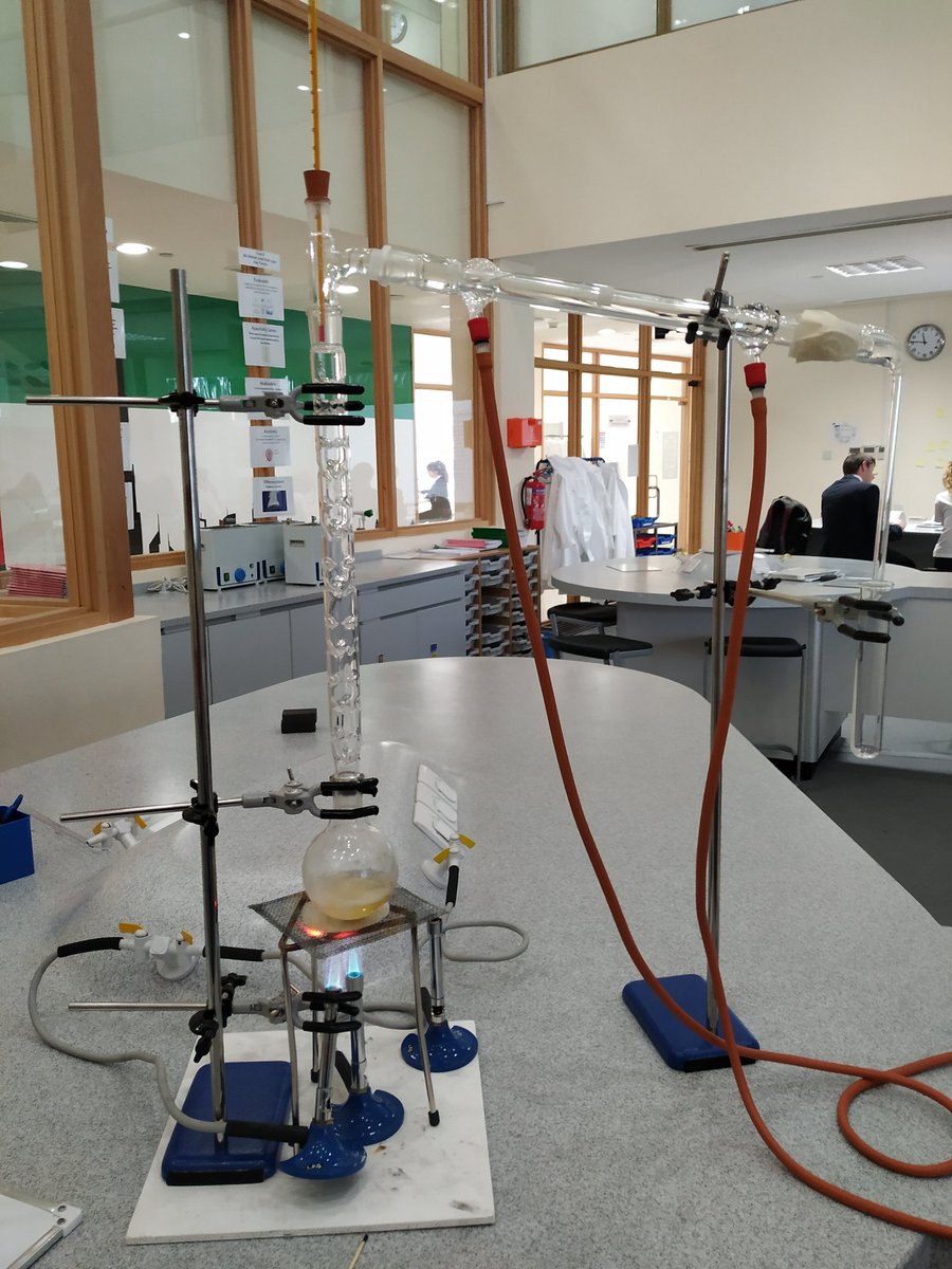 Kings' Al Barsha Sci tweet media