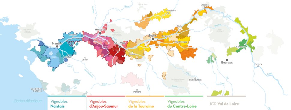 singulars_fr's tweet photo. @SalonVinsLoire Coup d’oeil sur les appellations qui bougent et sélection des belles bouteilles ➡️https://t.co/dF1vGD4mdp
@PASCALGIBAULT @DomaineSauvete
#SVL19 #gastronomie @CheninBlancSA @fandechenin #cépage #bio #organic #agriculture @AcademieChenin https://t.co/MG6ssaKd3V