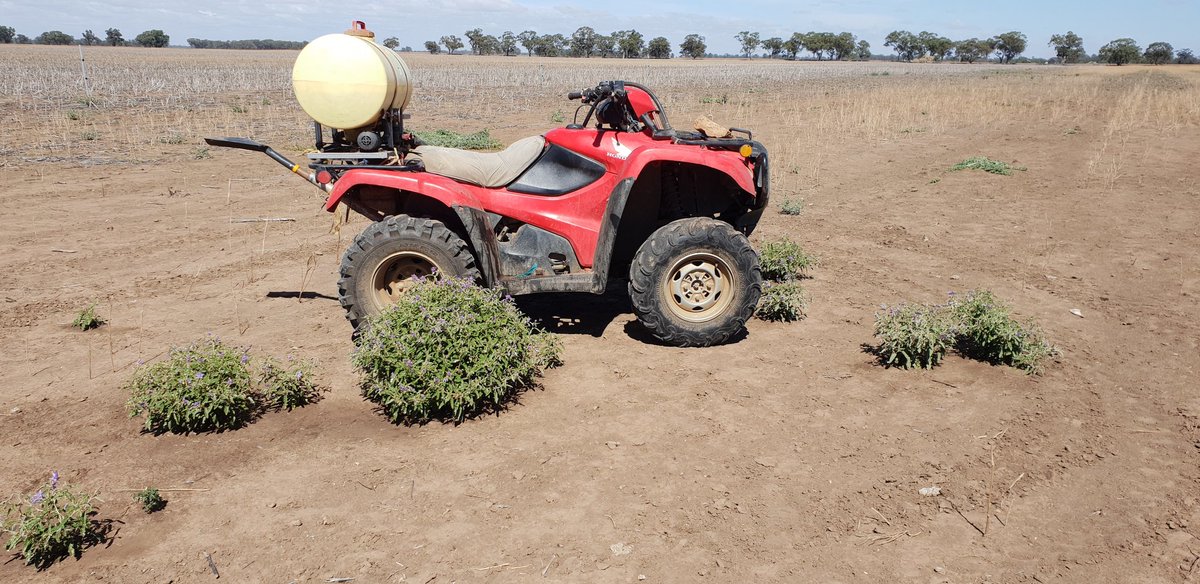 Craig S🧢 tweet media