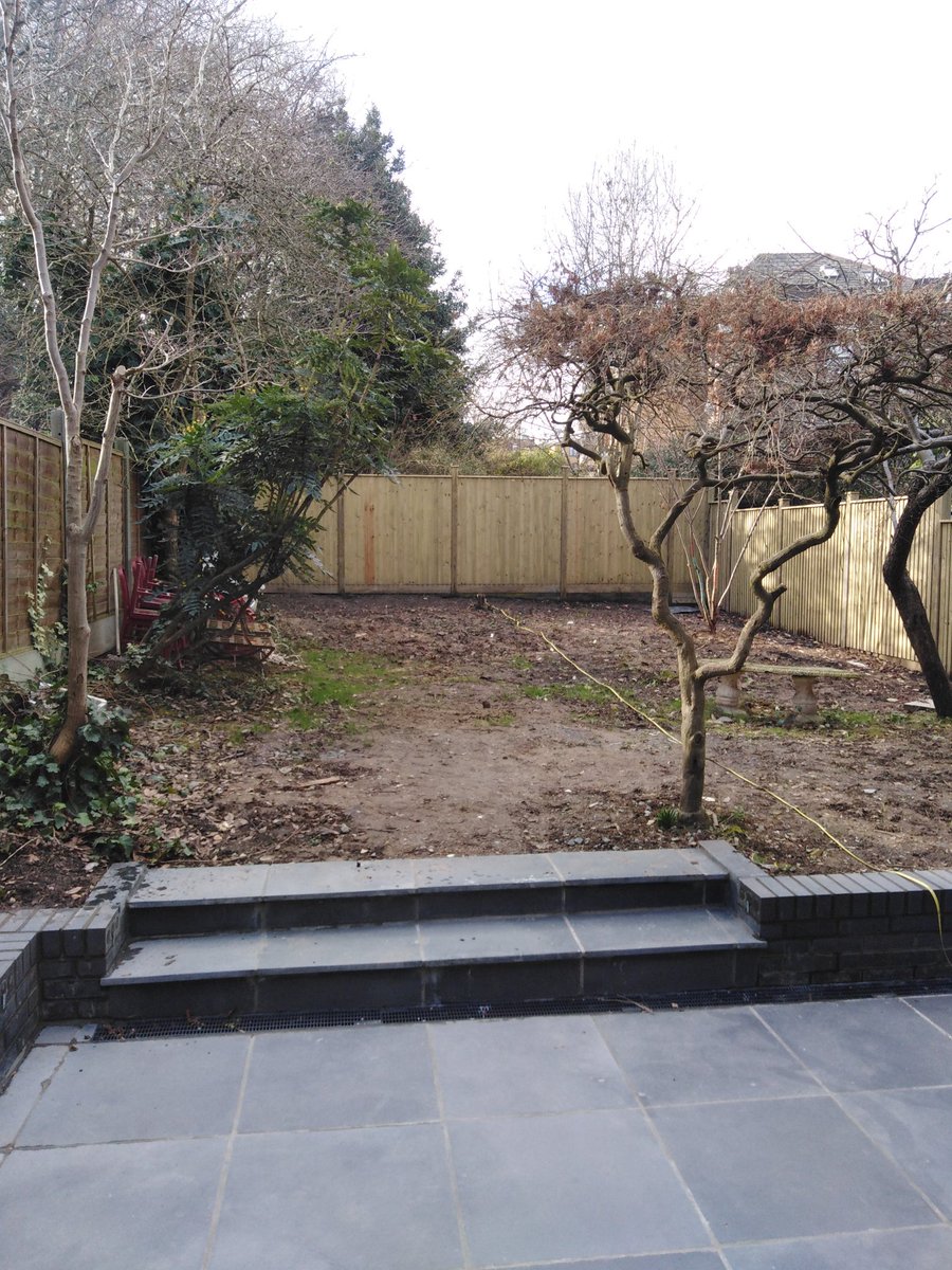 A classic 1-2-1 Garden Design in London. A clear day and a clear garden to achieve whatever the owner and I wish to design. Watch this space #gardendesign #opportunity #goodfun
