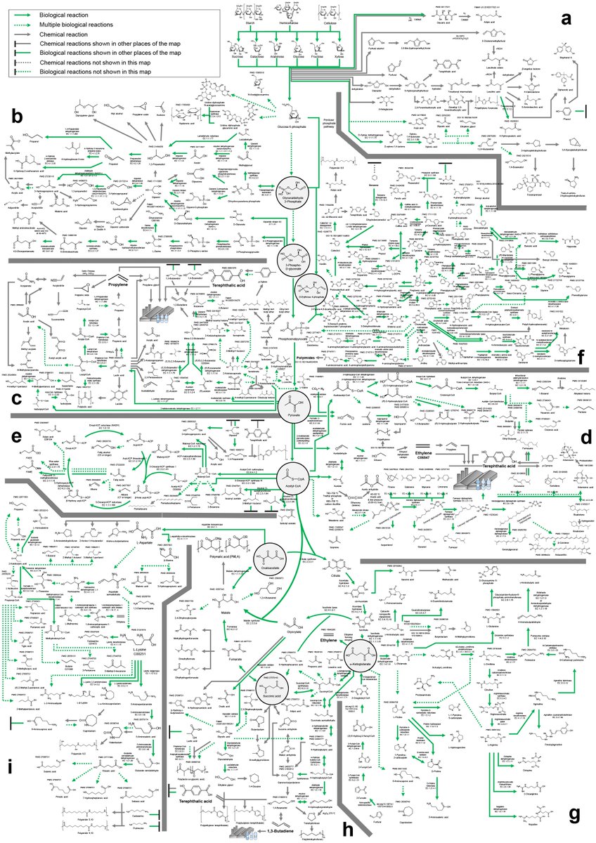 Review article: A comprehensive metabolic map for production of bio-based chemicals go.nature.com/2BzEbAS ($)
And check out the (detailed) map in A0 poster size
bit.ly/2E7MdTz (free)
