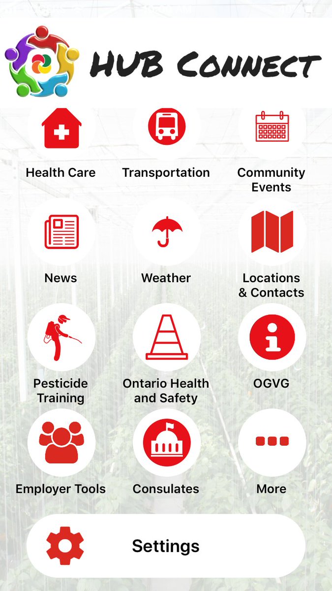 JTaylorCLC's tweet image. Happy #CdnAgDay! This day wouldn&apos;t be possible without the support of our international farm workers. One way @ONgreenhouseVeg supports this workforce is through our #HUBConnect App - connecting people with their communities #WeAreOGVG @CdnAgHRCouncil