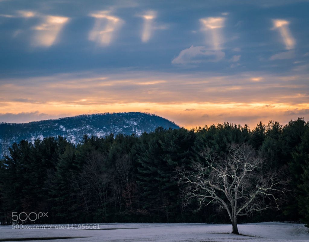 Solo tree sunrise (автор фото imaginalimagingphoto) #landscape,trees,mountains,sunrise,snow,meadow,sunlight,sunshine,sunbeam,winter,blue,yellow,orange,ice,new england,beauty in nature,beautiful,scenic,nature