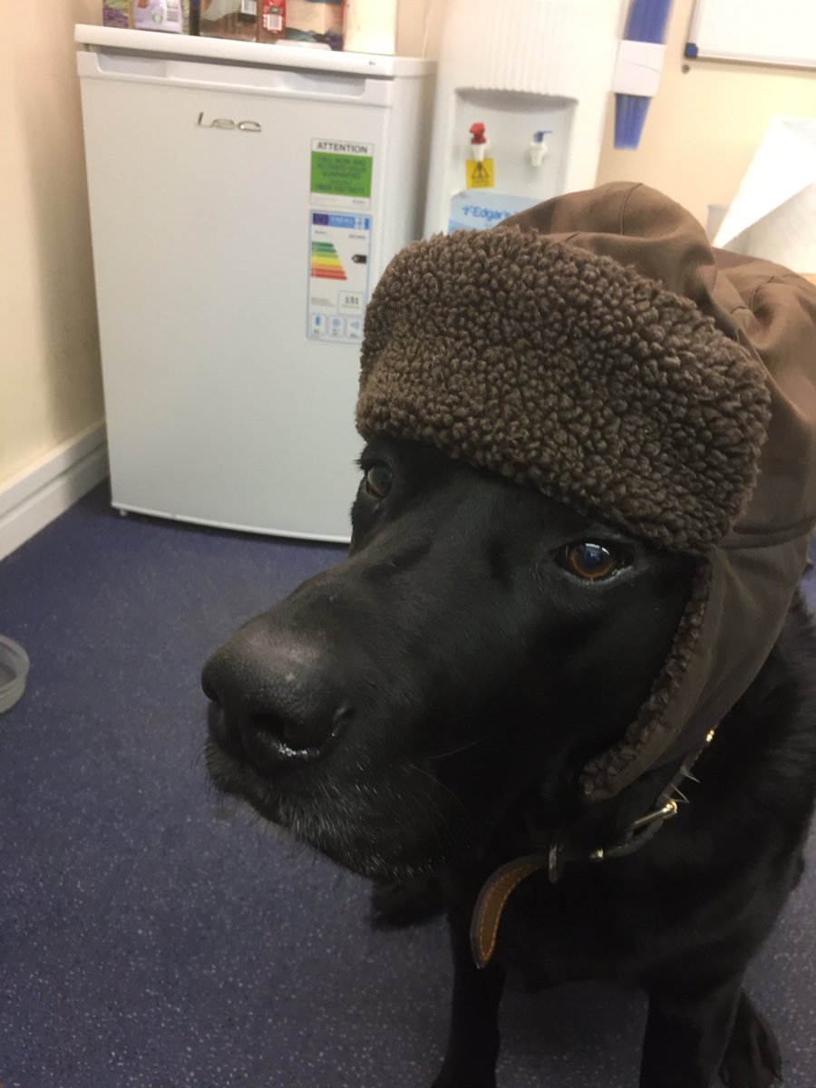 SavageCranes's tweet photo. Wellington Savage looking forward to the nights getting lighter. https://t.co/pL5Uxl86Nz