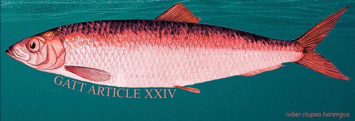 Image of a red herring labelled GATT Article XXIV