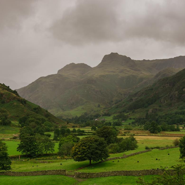 selfcatering4U's tweet photo. Get the most out of your stay in the #LakeDistrict on a guided tour. The Heart of the Lakes Tour with @MGoatTours is undoubtably the best way to discover the delights and hidden gems of the Lake District. https://t.co/yUjin598eb #CottageLifeLD #theplacetobe https://t.co/XLotEq9lXC