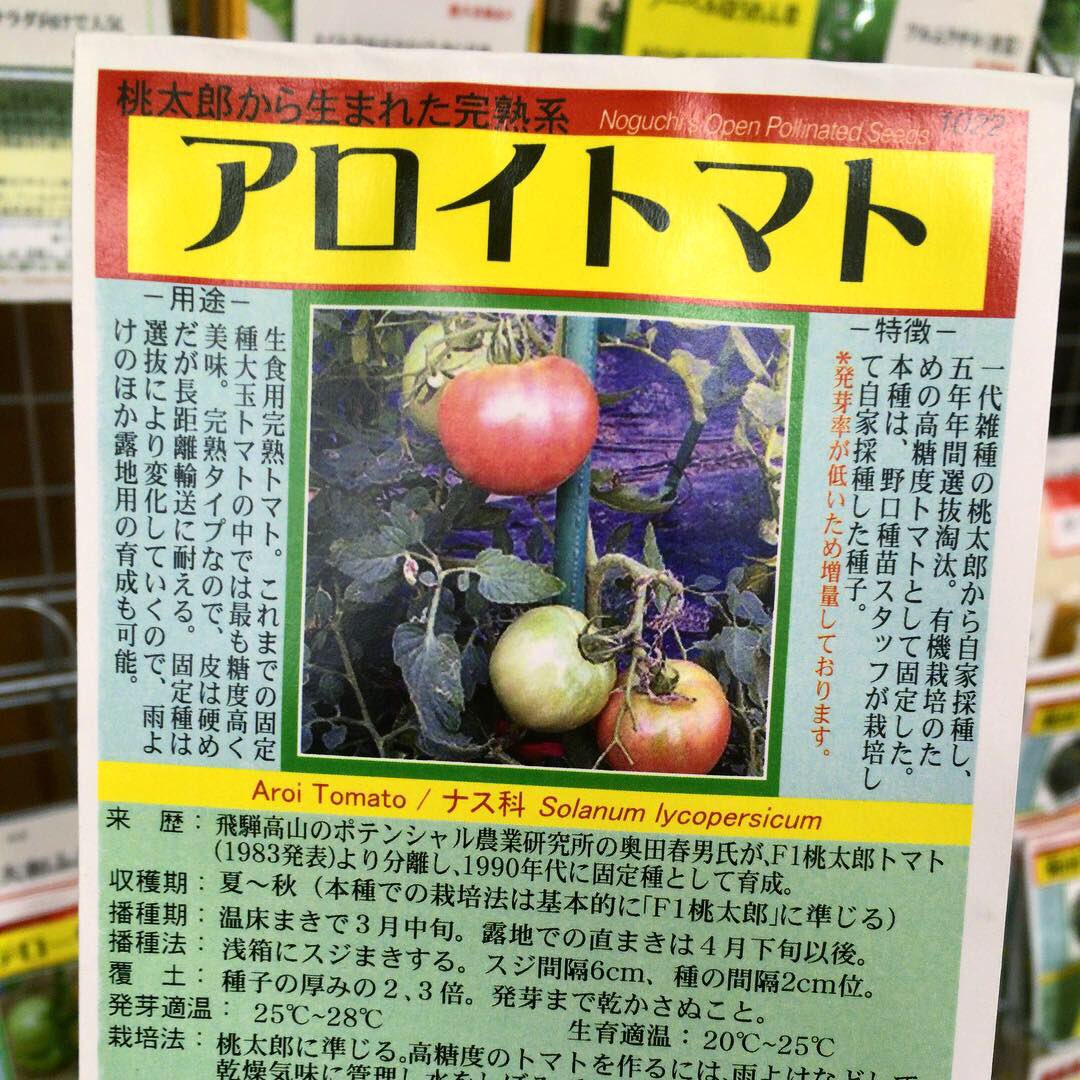 野口種苗研究所 野口種苗研究所