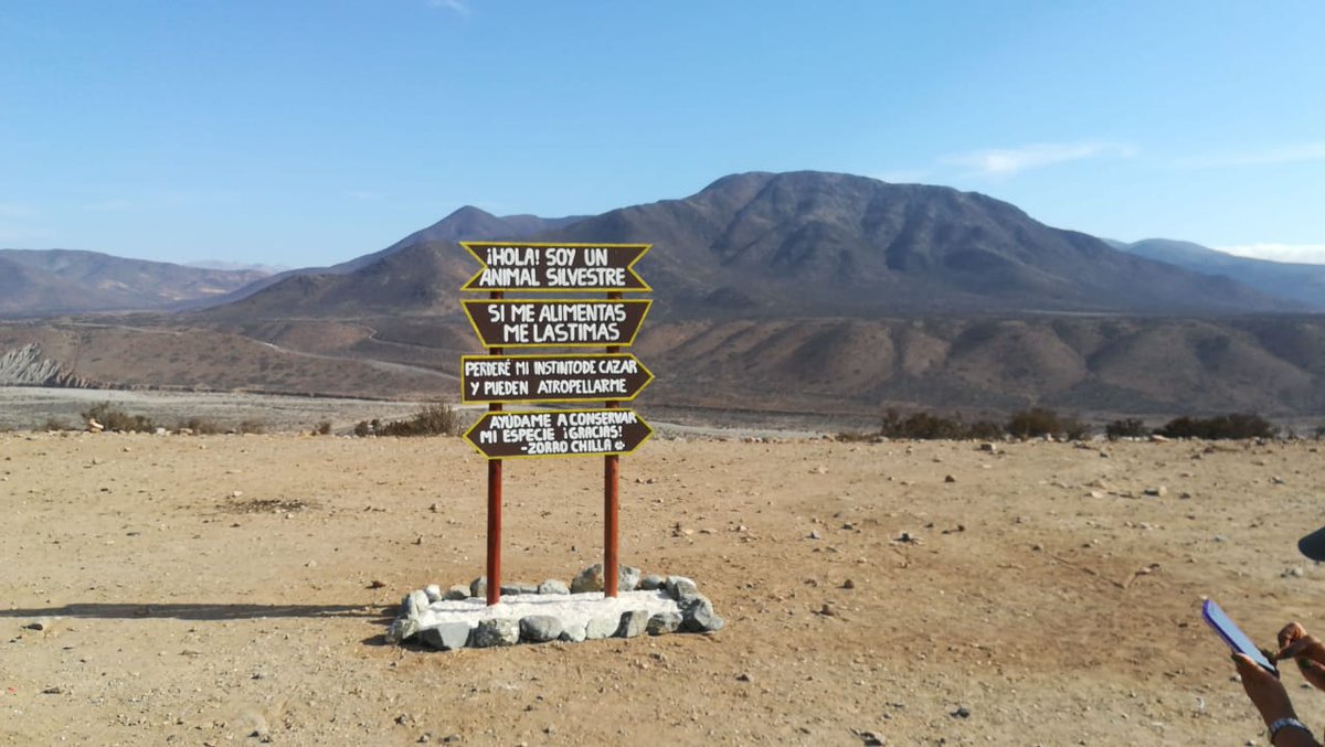 ConafCoquimbo's tweet photo. Guardaparques de la Reserva Nacional Pingüino de Humboldt, realizan un llamado a NO ALIMENTAR animales silvestres, para no alterar el ecosistema de #PuntadeChoros en la comuna de @LaHigueraMuni; así como también, realizan limpieza de basura que los visitantes dejan en el sector. https://t.co/PiJCXgStZV
