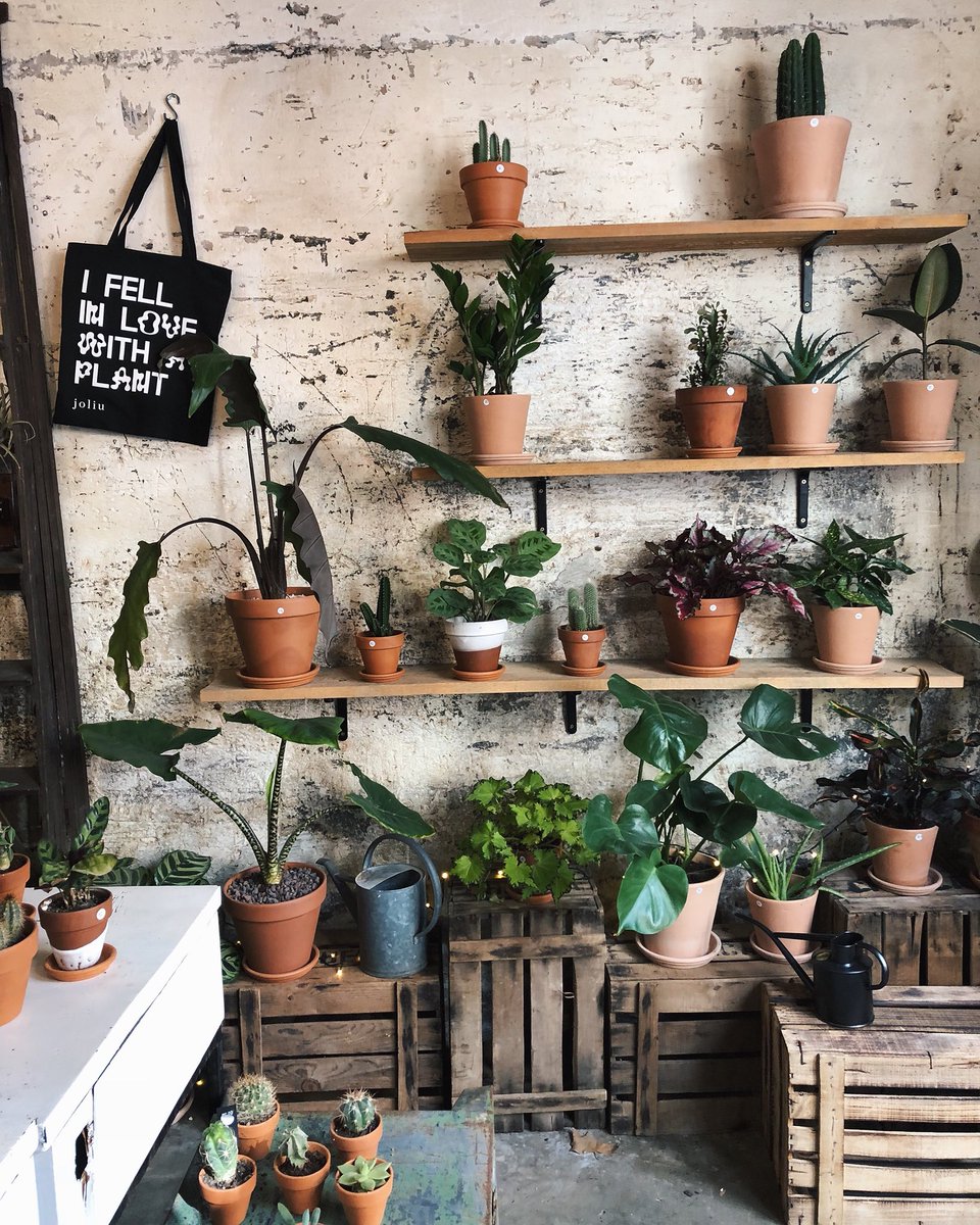 WOW Spanish cafes, zero waste shops and creative spaces you are IMPRESSING us BIG time!! We’re getting VERY inspired right now. To those asking.....We’ll be posting the stories of cafes, zero waste shops and community spaces around Scotland and Spain on our website this week.