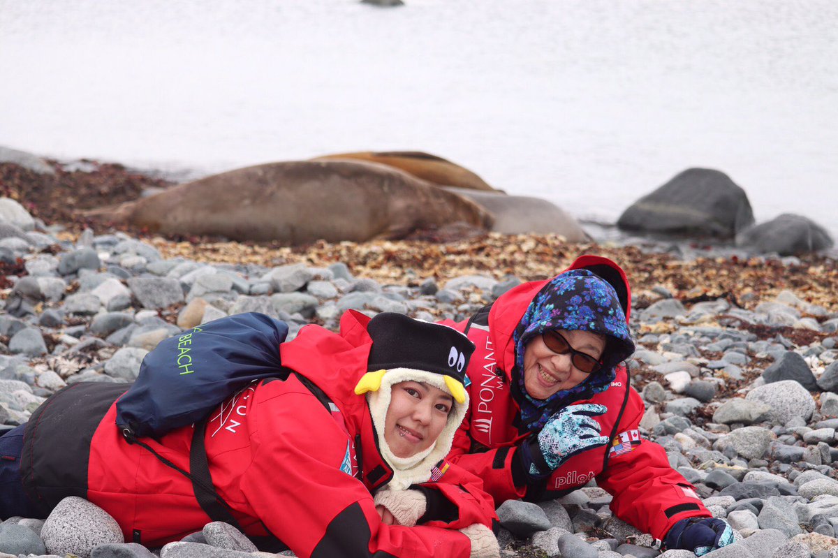 南極で今一番流行ってる遊び