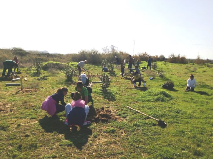LeroyMerlinCorp's tweet photo. ¡Participa en #LeroyMerlinReforesta el 23 de febrero y ayúdanos a combatir el cambio climático! Únete a la reforestación de 8 espacios naturales en diferentes puntos de España: #Madrid, #Palma, #Finestrat, #Vitoria, #Oviedo, #Gijón, #Murcia y #Sevilla 🌲🌳 https://t.co/hfc4UxAj9d https://t.co/Q8pORmVUUh