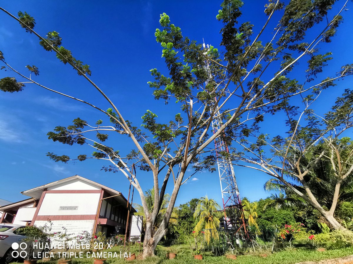 IdderesMh's tweet image. #wideview #schooldays #Beaufort #Sabah