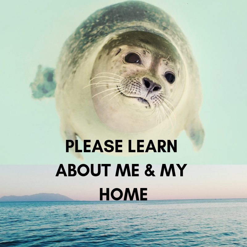 What's available for climate change education?

-our #energyenvoys scheme counts towards #dofe and focuses on energy 
-also @WoodsHoleSeaGnt has amazing lesson plans on:

- adaptions &amp; climate change
- food webs 
- marine life 
&amp; much more available at: bit.ly/2WU11we