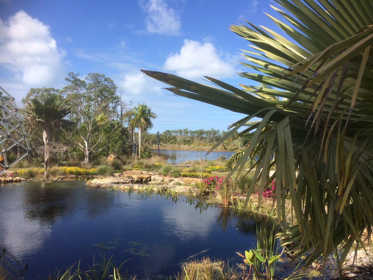 Thank you @NaplesBotanical for sharing your wonderful garden & your exciting plans. Looking forward to further collaboration #rbgehort