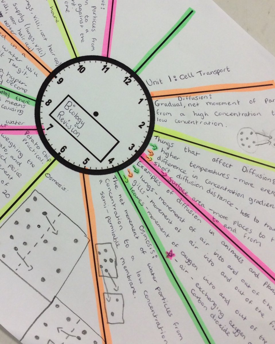 Rosebery Science tweet media