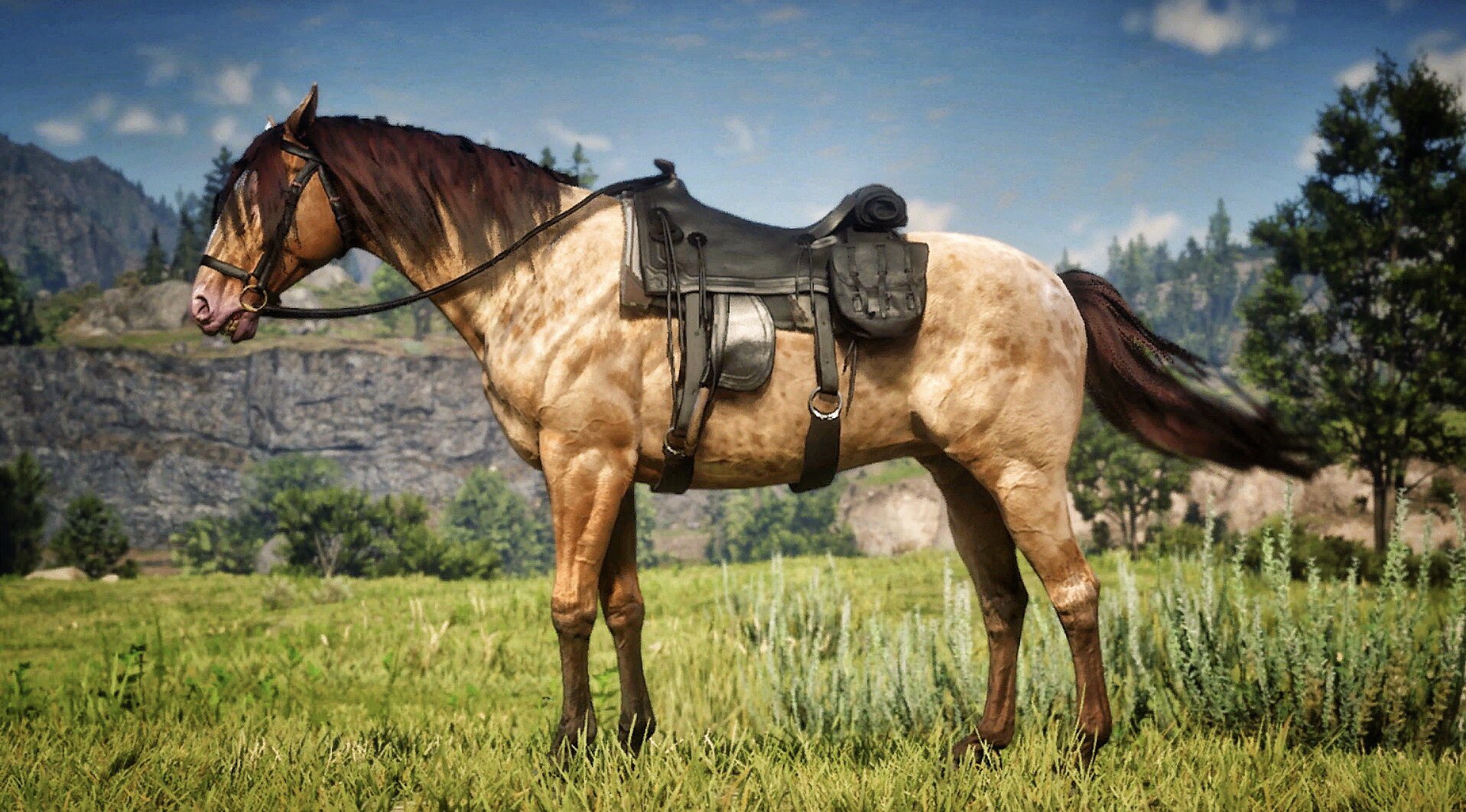 cabriolet afsked Tryk ned FiveTheGamer on Twitter: "Finally got it! My newest horse in #RDR2 online.  He's an amber champagne colored Missouri Fox Trotter named Yoda  #RedDeadOnline #xbox https://t.co/oNnPLQRJ1a" / Twitter