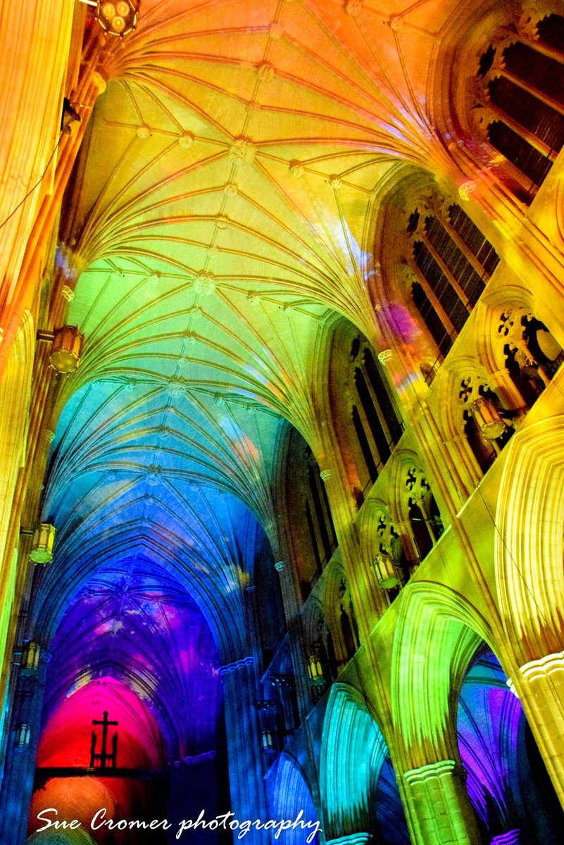 SueCromer's tweet photo. More photos from the #WashingtonNationalCathedral Light Show: #SeeingDeeper. It was incredible! There will be posts for days! Enjoy! https://t.co/spEvYnfkQr