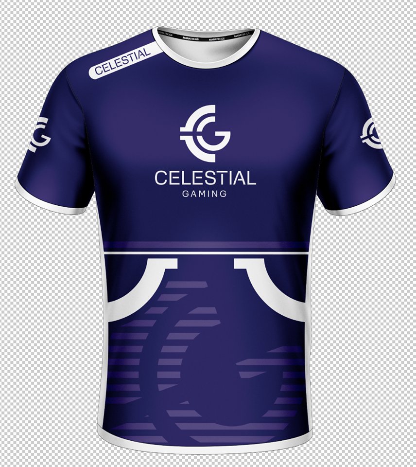 Celestial Gaming tweet media