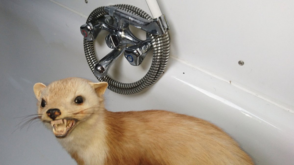 OliechHS's tweet photo. Qui est ce qui va prendre un bon bain ? 🤔😁 https://t.co/keFbC3R6kk