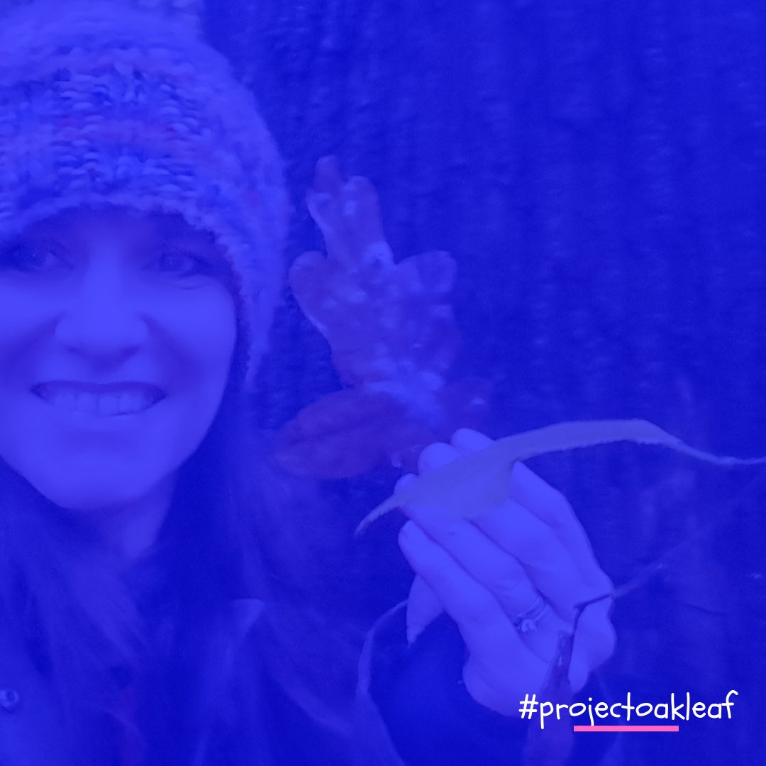 JaneTyson's tweet photo. 'Wow. Well. BEing Expert
So important'. I mutter
First, let’s just wind up the shutter
And notice the Oak Tree over there on the grass
https://t.co/gacDXeXKsv
#wellbeing #poetry #iambeic #teaching #projectoakleaf #ukedchat https://t.co/trLoiHdKWK